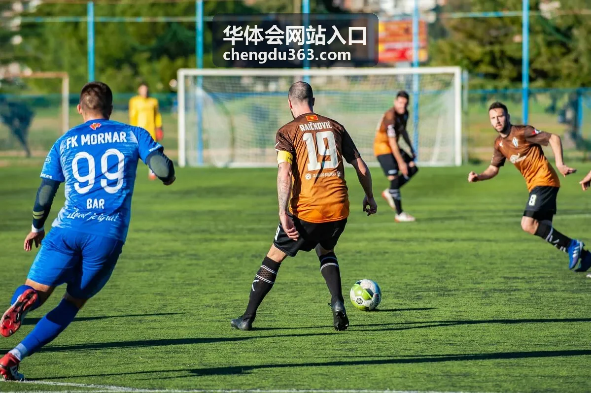 华体会网站入口账号与安全设置界面示意