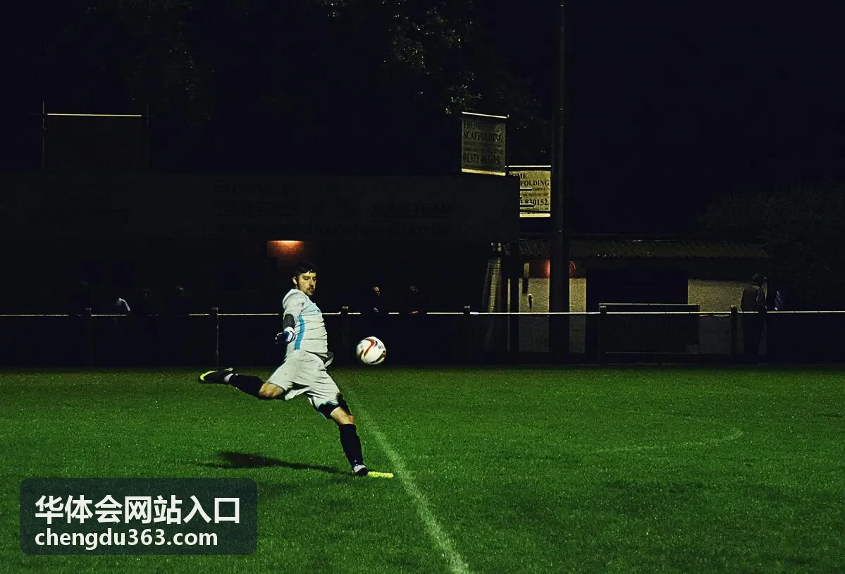 华体会网站入口通道状态核对示意