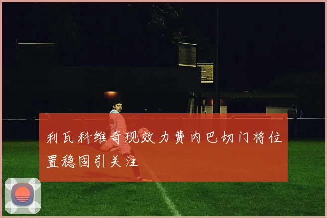 利瓦科维奇现效力费内巴切门将位置稳固引关注