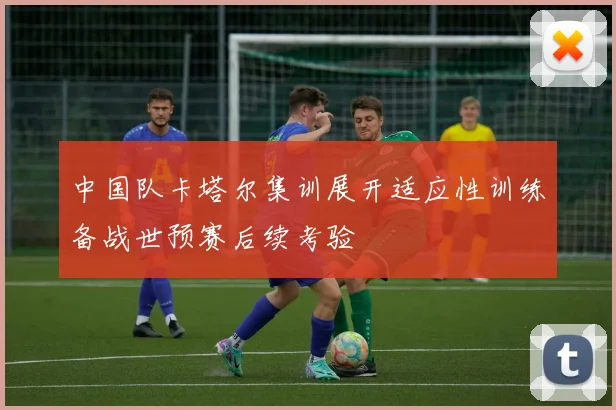 中国队卡塔尔集训展开适应性训练备战世预赛后续考验