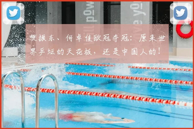 樊振东、何卓佳欧冠夺冠：原来世界乒坛的天花板，还是中国人的！