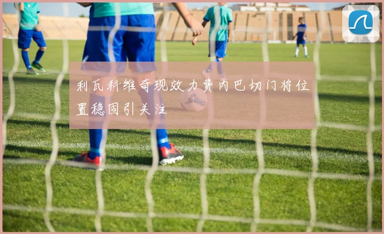 利瓦科维奇现效力费内巴切门将位置稳固引关注