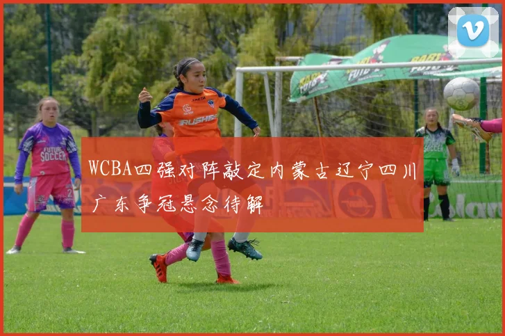 WCBA四强对阵敲定内蒙古辽宁四川广东争冠悬念待解