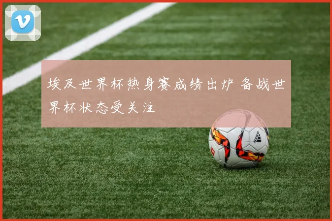 埃及世界杯热身赛成绩出炉 备战世界杯状态受关注