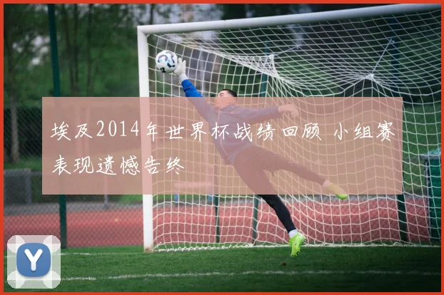 埃及2014年世界杯战绩回顾 小组赛表现遗憾告终