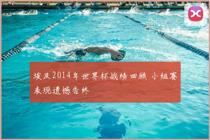 埃及2014年世界杯战绩回顾 小组赛表现遗憾告终
