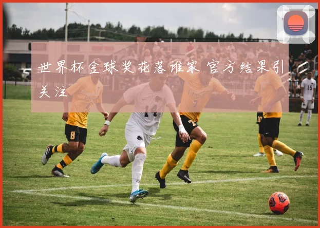 世界杯金球奖花落谁家 官方结果引关注