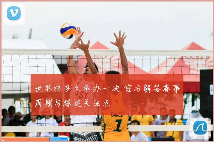 世界杯多久举办一次 官方解答赛事周期与球迷关注点